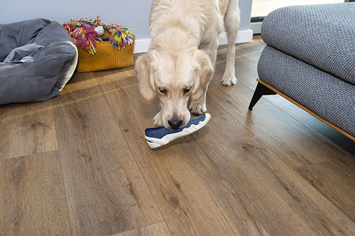 wilmington-vinyl-plank-floor-cleaning-2024